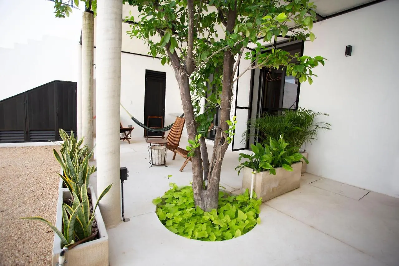 Casa Lluavi - Caliope Apartment Merida