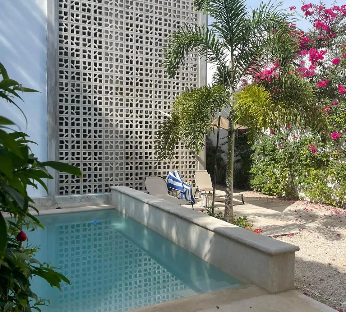 Casa Lluavi - Caliope Apartment Merida